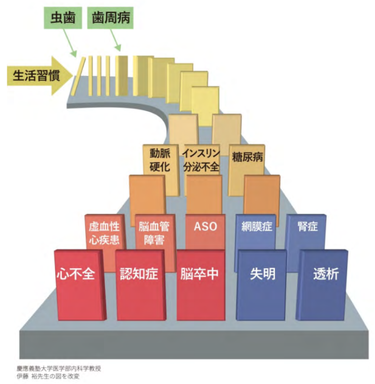 メタボリックドミノ
